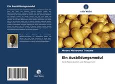 Portada del libro de Ein Ausbildungsmodul