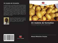 Buchcover von Un module de formation