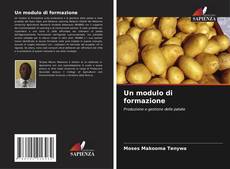 Portada del libro de Un modulo di formazione