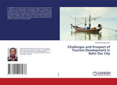 Copertina di Challenges and Prospect of Tourism Development in Bahir Dar City