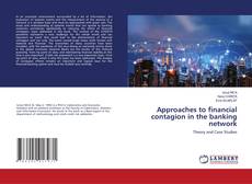 Copertina di Approaches to financial contagion in the banking network