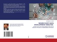 Copertina di NEURO-FUZZY DATA ENVELOPMENT ANALYSIS