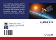 Copertina di REMOTE SENSING