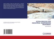 Copertina di FETON PROCESS FOR INDUSTRIAL WASTEWATER TREATMENT