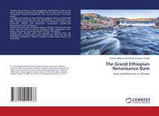 Copertina di The Grand Ethiopian Renaissance Dam