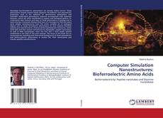Copertina di Computer Simulation Nanostructures: Bioferroelectric Amino Acids