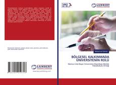 Copertina di BÖLGESEL KALKINMADA ÜNİVERSİTENİN ROLÜ