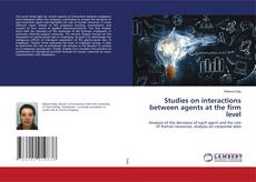 Copertina di Studies on interactions between agents at the firm level
