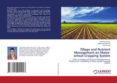 Buchcover von Tillage and Nutrient Management on Maize-wheat Cropping System