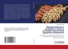 Copertina di Продуктивность сахарного сорго в условиях лесостепи среднего Поволжья