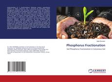 Copertina di Phosphorus Fractionation