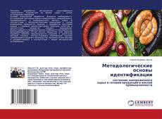 Copertina di Методологические основы идентификации