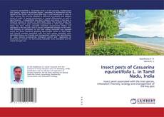 Capa do livro de Insect pests of Casuarina equisetifolia L. in Tamil Nadu, India 