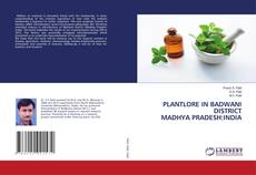 Copertina di PLANTLORE IN BADWANI DISTRICT MADHYA PRADESH:INDIA