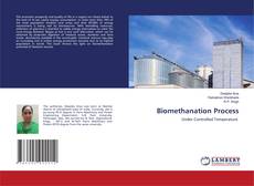 Copertina di Biomethanation Process