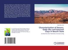 Copertina di Characterization of Nasaru, Gada Uku and Gwaram Clays in Bauchi State