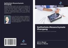 Bookcover of Epitheliale-Mesenchymale Overgang