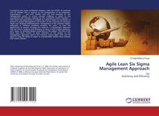 Buchcover von Agile Lean Six Sigma Management Approach