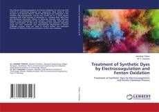 Copertina di Treatment of Synthetic Dyes by Electrocoagulation and Fenton Oxidation