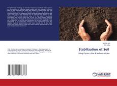 Buchcover von Stabilization of Soil