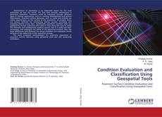 Copertina di Condition Evaluation and Classification Using Geospatial Tools