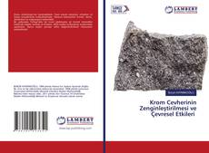 Copertina di Krom Cevherinin Zenginleştirilmesi ve Çevresel Etkileri