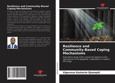 Borítókép a  Resilience and Community-Based Coping Mechanisms - hoz