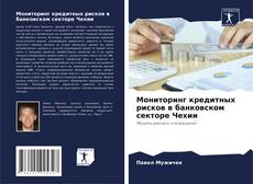 Bookcover of Мониторинг кредитных рисков в банковском секторе Чехии