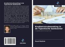 Kredietrisicobewaking in de Tsjechische banksector的封面