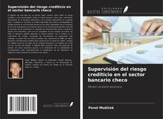 Bookcover of Supervisión del riesgo crediticio en el sector bancario checo