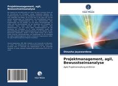 Copertina di Projektmanagement, agil, Bewusstseinsanalyse