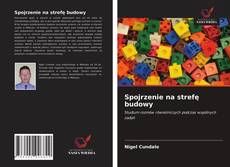 Bookcover of Spojrzenie na strefę budowy