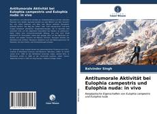 Обложка Antitumorale Aktivität bei Eulophia campestris und Eulophia nuda: in vivo