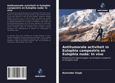 Bookcover of Antitumorale activiteit in Eulophia campestris en Eulophia nuda: In vivo