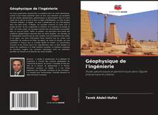 Copertina di Géophysique de l'ingénierie