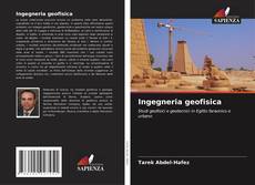 Bookcover of Ingegneria geofisica