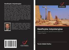 Geofizyka inżynieryjna kitap kapağı