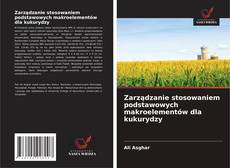 Buchcover von Zarządzanie stosowaniem podstawowych makroelementów dla kukurydzy