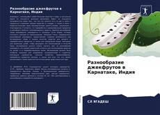 Buchcover von Разнообразие джекфрутов в Карнатаке, Индия