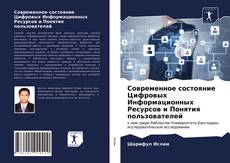 Современное состояние Цифровых Информационных Ресурсов и Понятия пользователей的封面