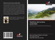 Bookcover of Gestione del turismo sostenibile