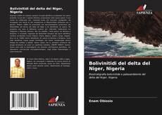 Обложка Bolivinitidi del delta del Niger, Nigeria