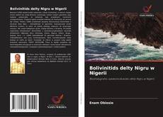 Bookcover of Bolivinitids delty Nigru w Nigerii