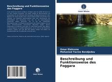 Beschreibung und Funktionsweise des Foggara的封面