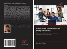 Utworzenie sieci Enterprise Europe Network kitap kapağı