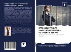 Bookcover of ПРЕДВАРИТЕЛЬНОЕ ЗАКЛЮЧЕНИЕ И ПРАВА ЧЕЛОВЕКА В БЕНИНЕ