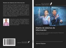 Diseño de sistemas de información kitap kapağı