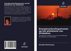 Bookcover of Energieverbruikspatronen op het platteland van Zimbabwe