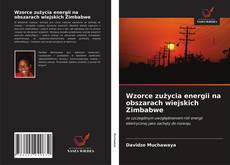 Bookcover of Wzorce zużycia energii na obszarach wiejskich Zimbabwe