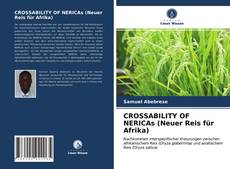 Couverture de CROSSABILITY OF NERICAs (Neuer Reis für Afrika)